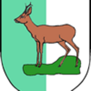 Grosswig
